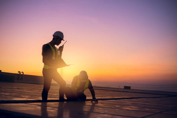 Best Roof Gutter Cleaning  in Peoria, IL