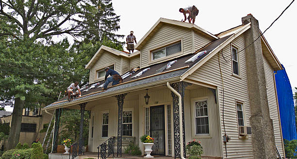 Best Metal Roofing Contractor  in Peoria, IL